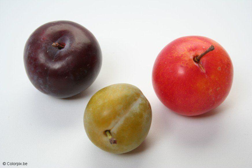 prunes Photo prunes