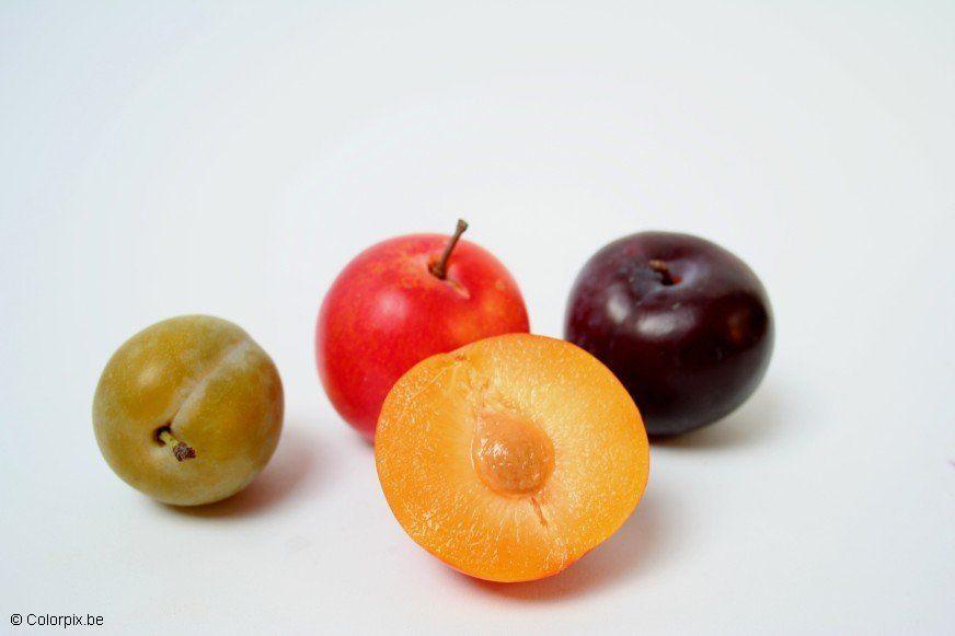 prunes Photo prunes
