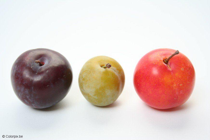 prunes Photo prunes