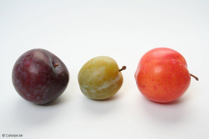 prunes Photo prunes