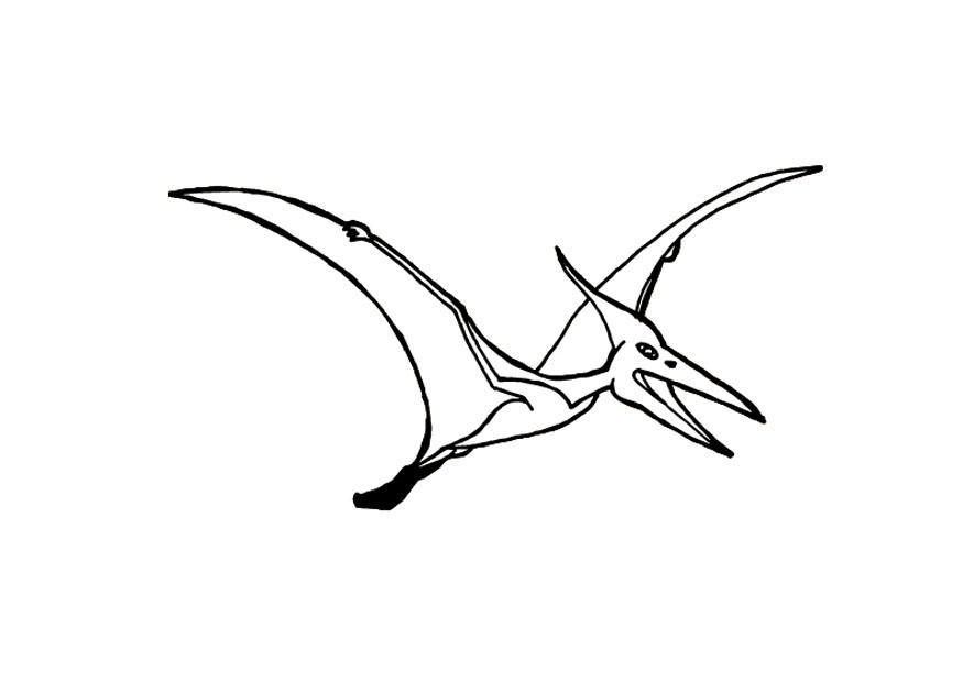 pterosaure Coloriage pterosaure