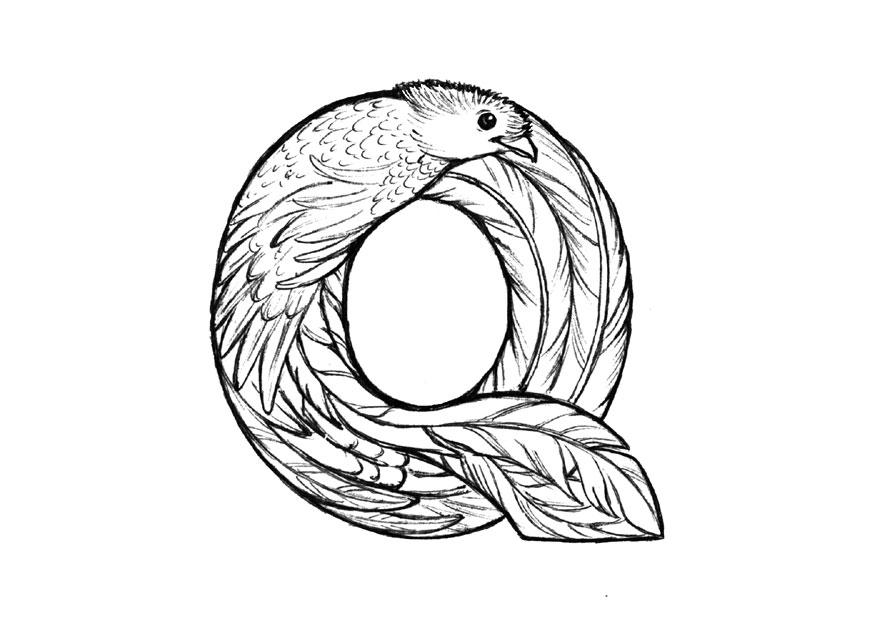 q-quetzal Coloriage q-quetzal