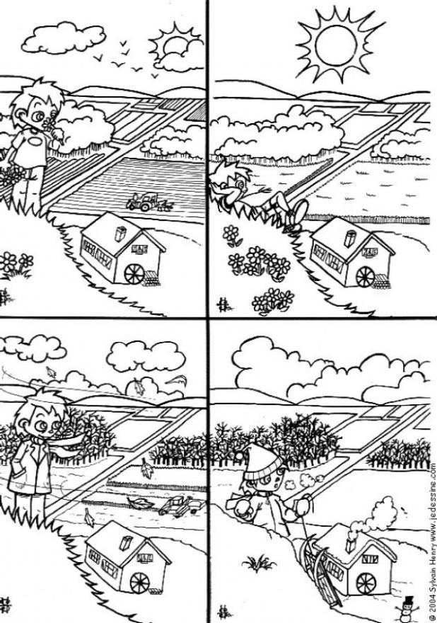 quatre saisons Coloriage quatre saisons