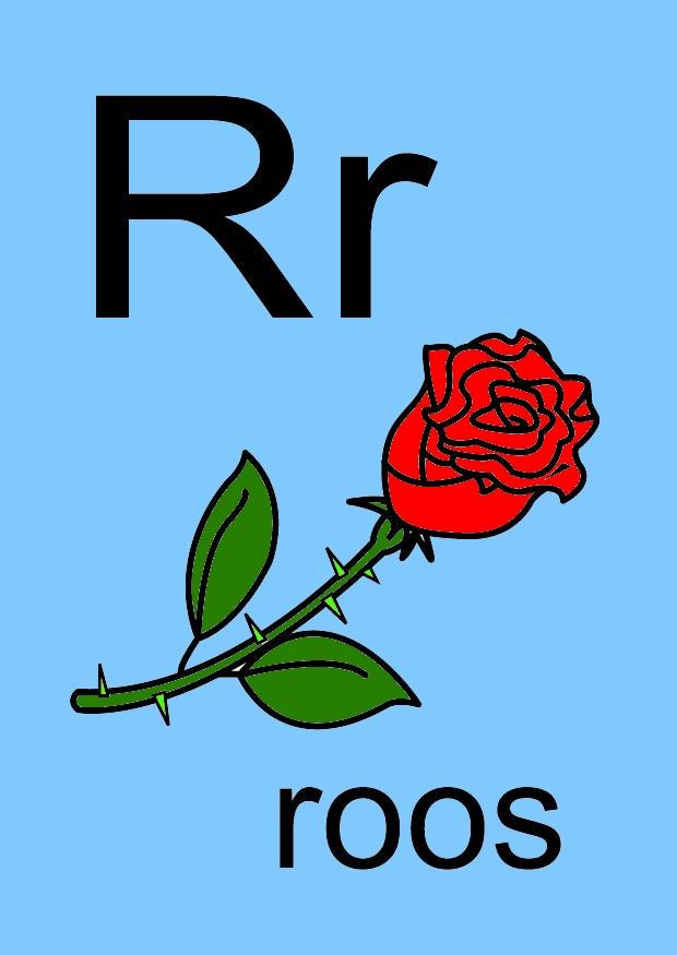 r Image r