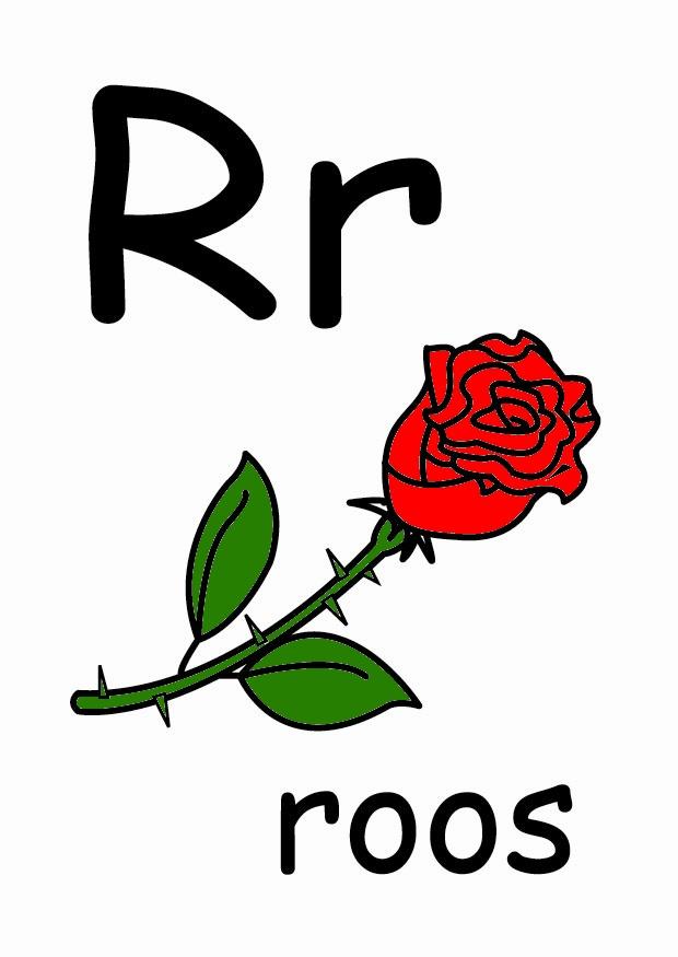 r Image r