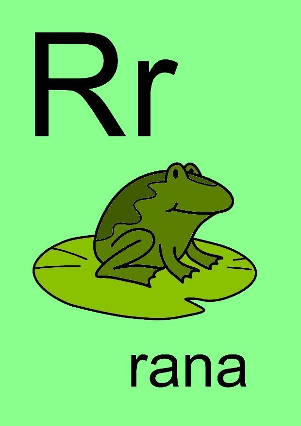 r Image r