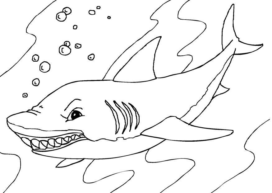 requin Coloriage requin