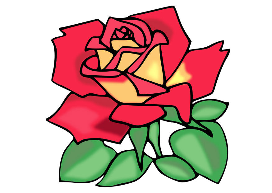 rose Image rose