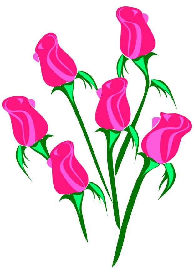 roses Image roses