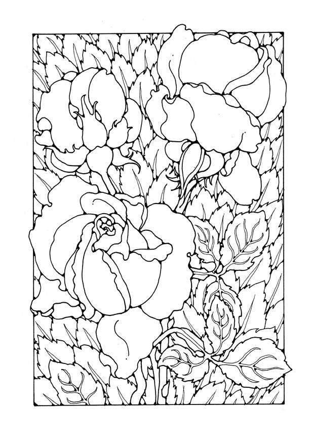 roses Coloriage roses