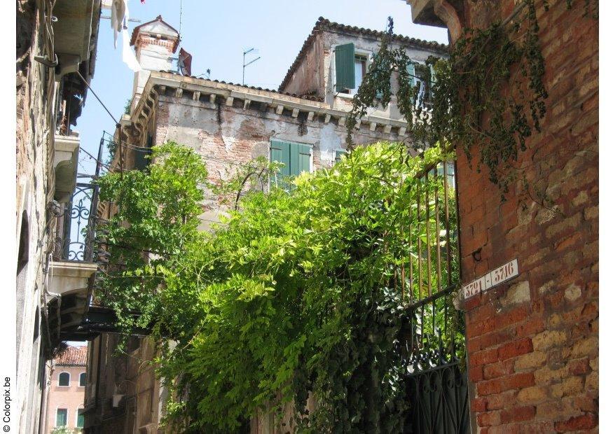 ruelle Photo ruelle