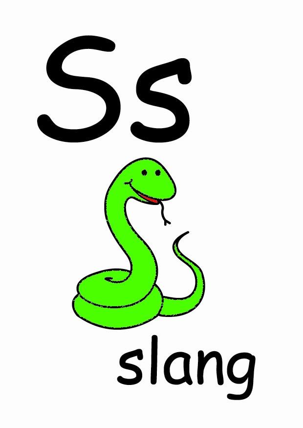 s Image s