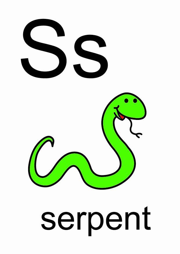 s Image s