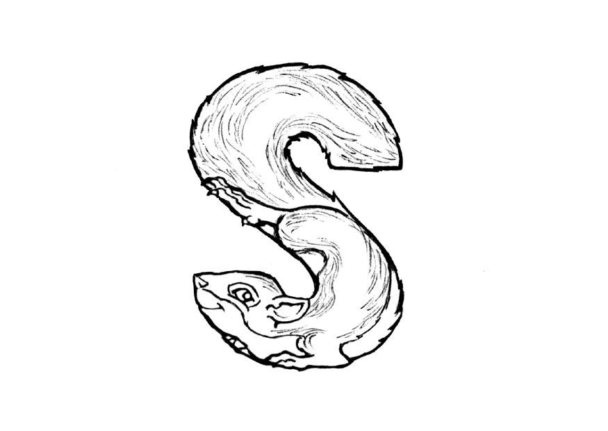 s-squirrel Coloriage s-squirrel