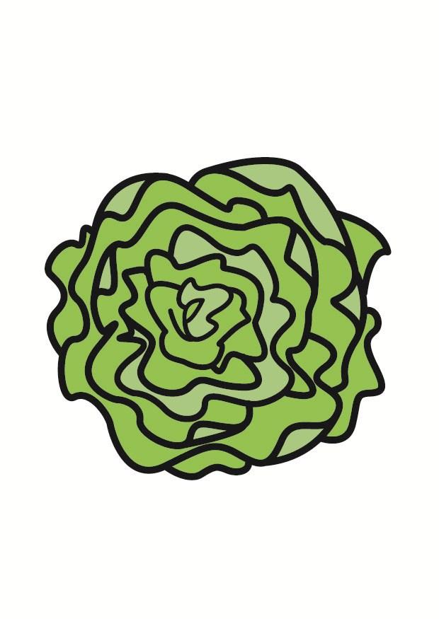 salade Image salade