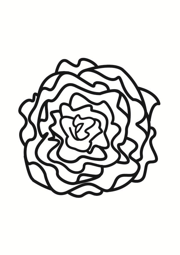 salade Coloriage salade
