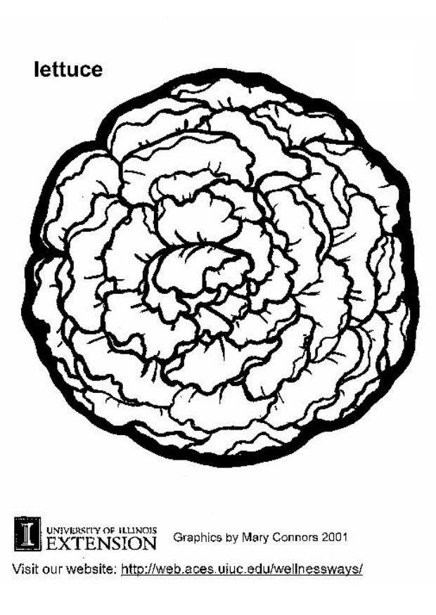salade Coloriage salade