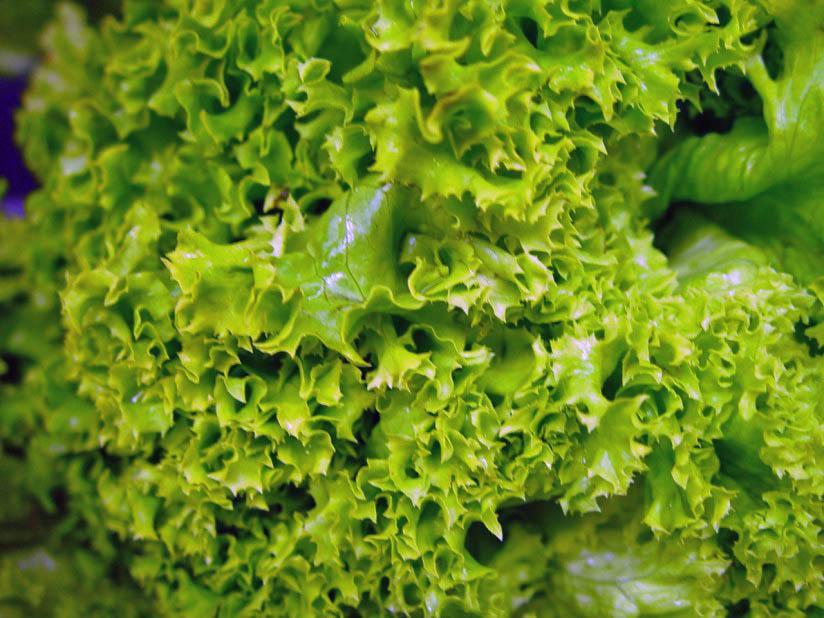 salade Photo salade