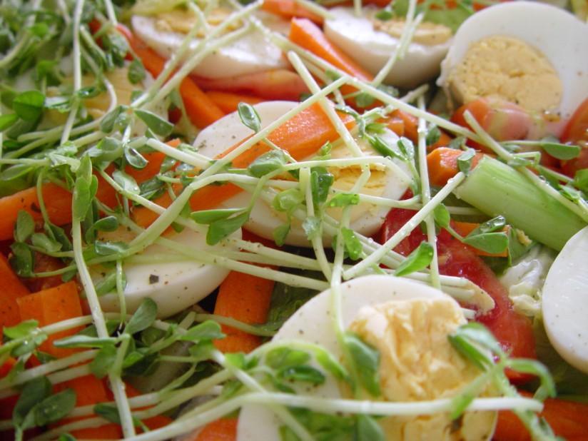salade Photo salade