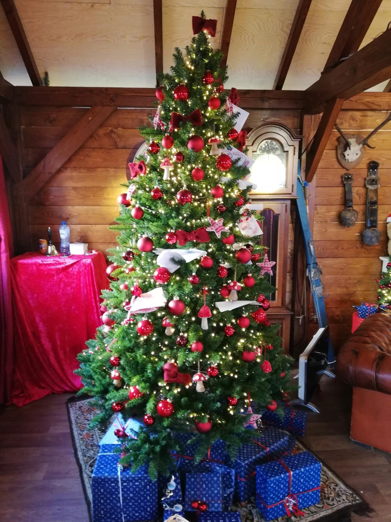 sapin de noA«l Photo sapin de noA«l