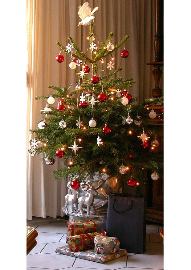 Photo sapin de noA«l