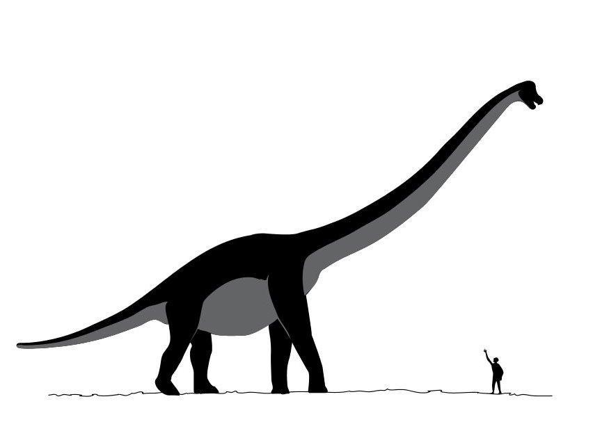 sauroposeidon Coloriage sauroposeidon