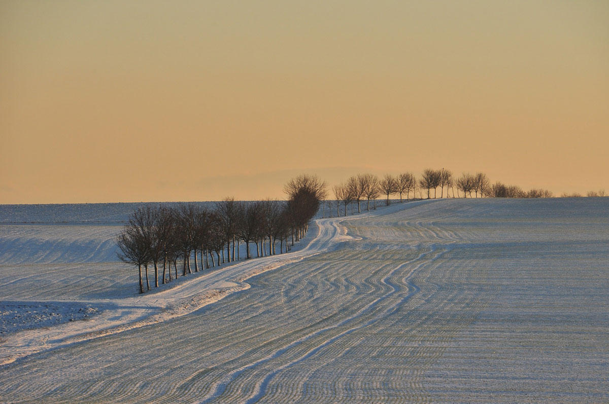 scA¨ne hivernale Photo scA¨ne hivernale