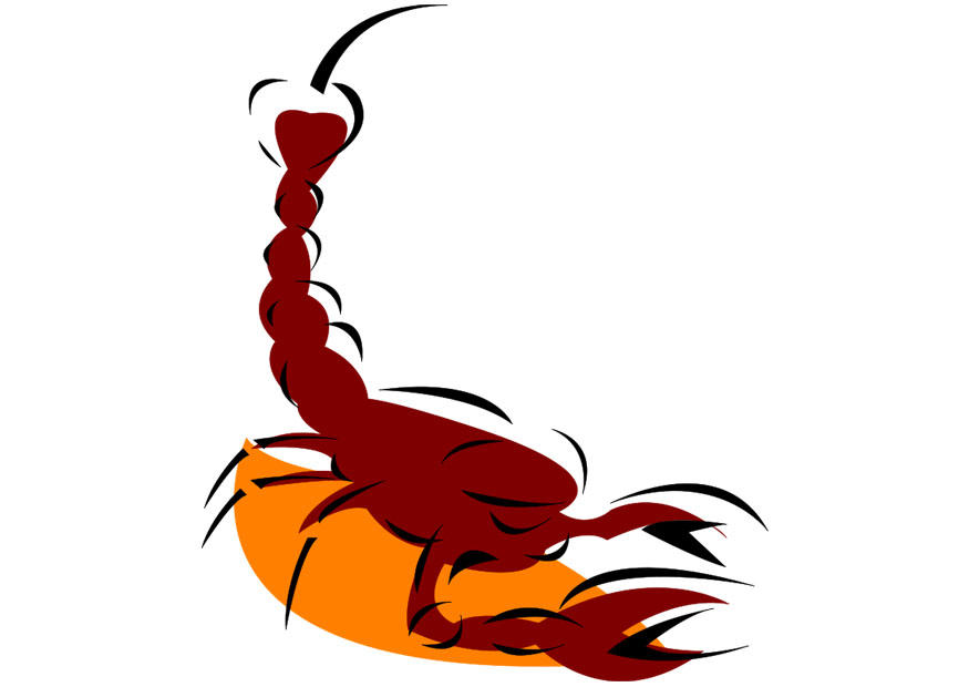 scorpion Image scorpion
