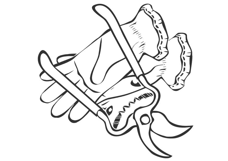 sA©cateur et gants de jardinage Coloriage sA©cateur et gants de jardinage
