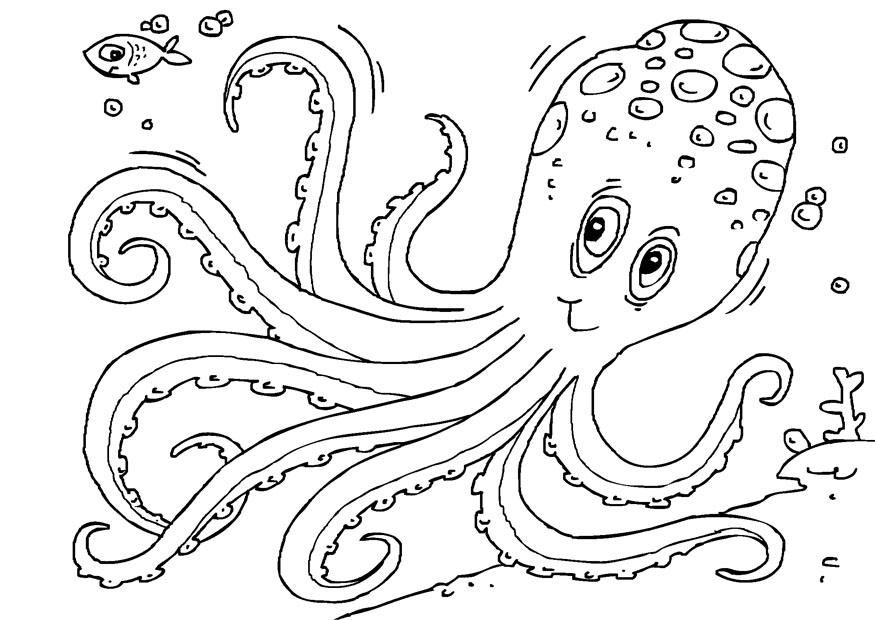 sepiida Coloriage sepiida