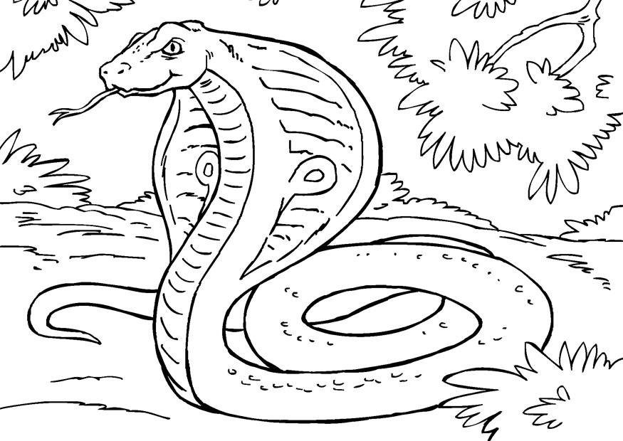 serpent - cobra Coloriage serpent - cobra