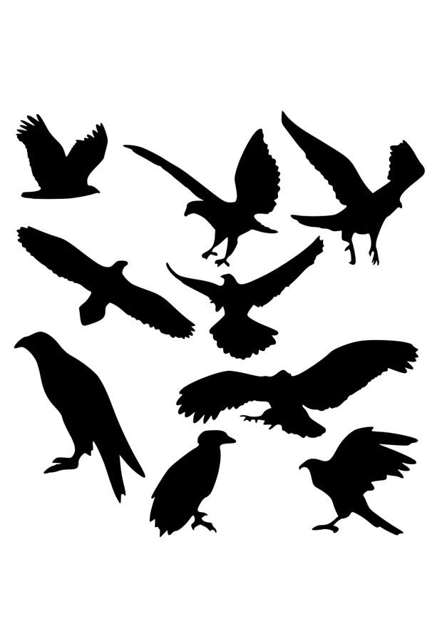 silhouettes daigles Coloriage silhouettes daigles