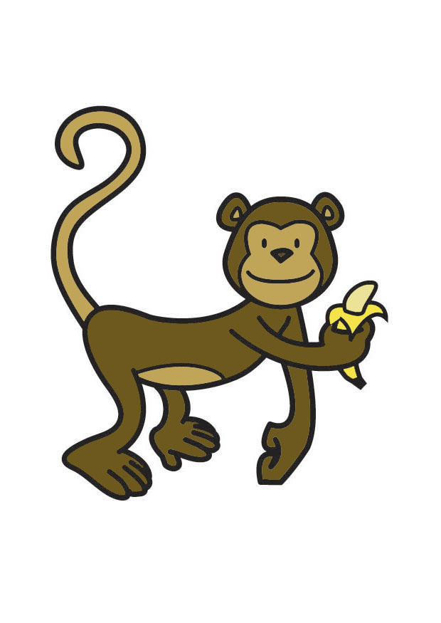 singe Image singe