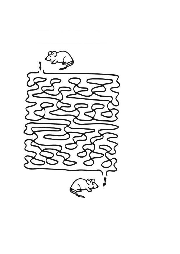 souris labyrinthe Coloriage souris labyrinthe