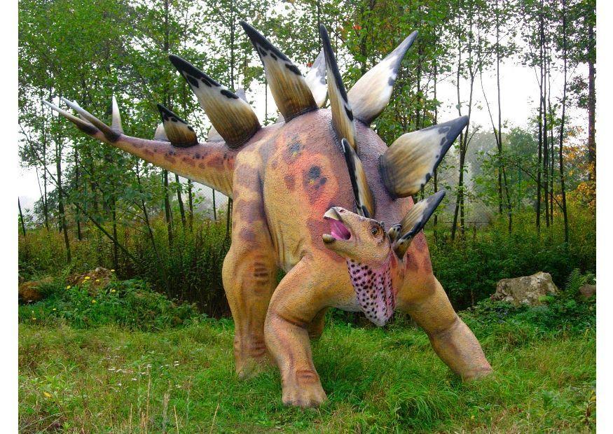 stegosaurus Photo stegosaurus