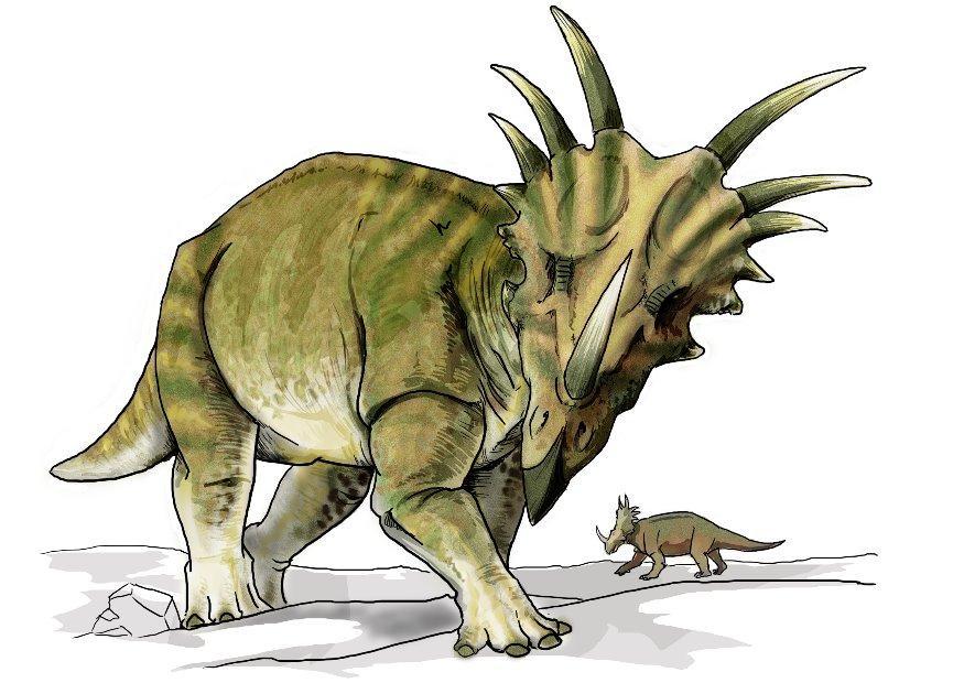 styracosaure Image styracosaure