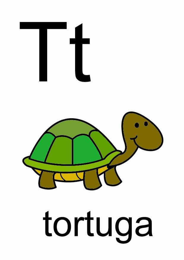 t Image t