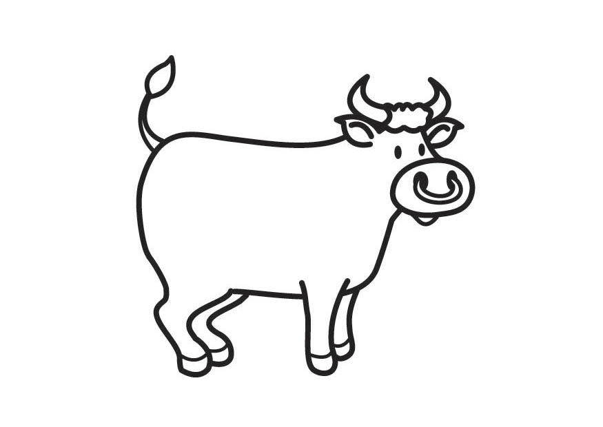 taureau Coloriage taureau