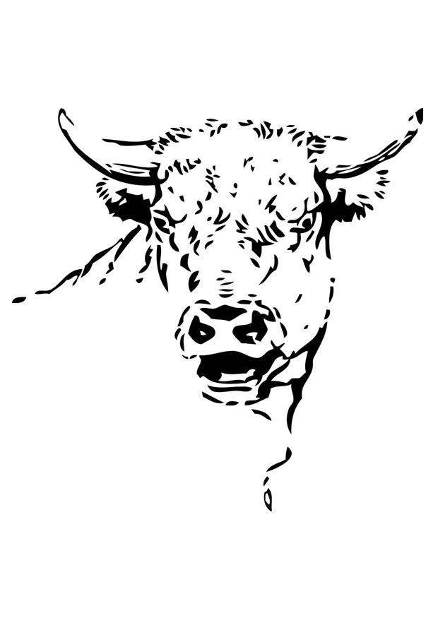 taureau Coloriage taureau