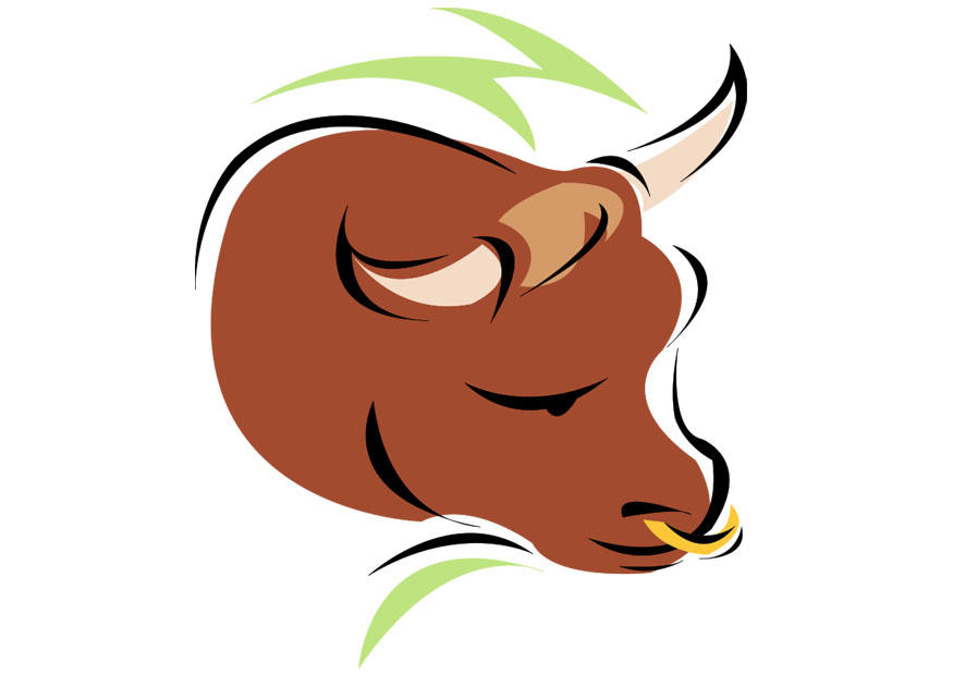 taureau Image taureau
