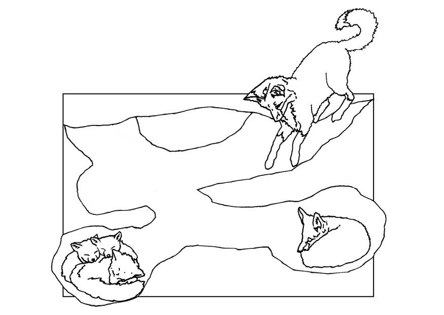 terrier de renard Coloriage terrier de renard