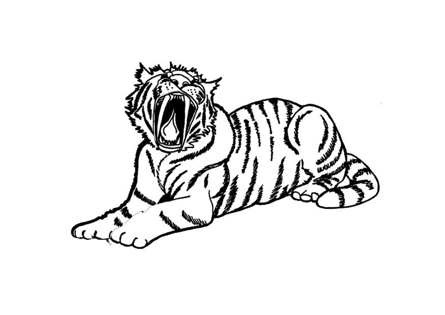tigre Coloriage tigre