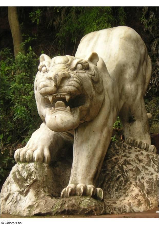 tigre au parc leshan Photo tigre au parc leshan
