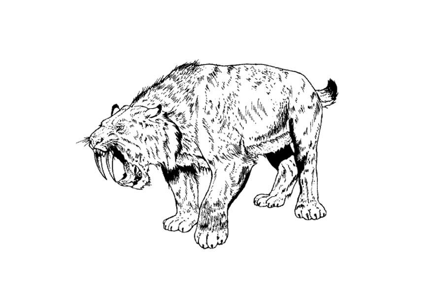 tigre aux dents de sable Coloriage tigre aux dents de sable
