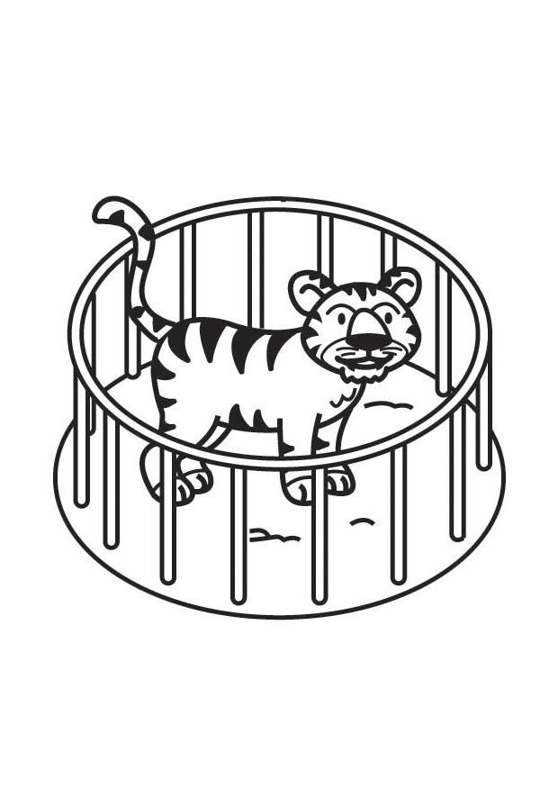 tigre en cage Coloriage tigre en cage