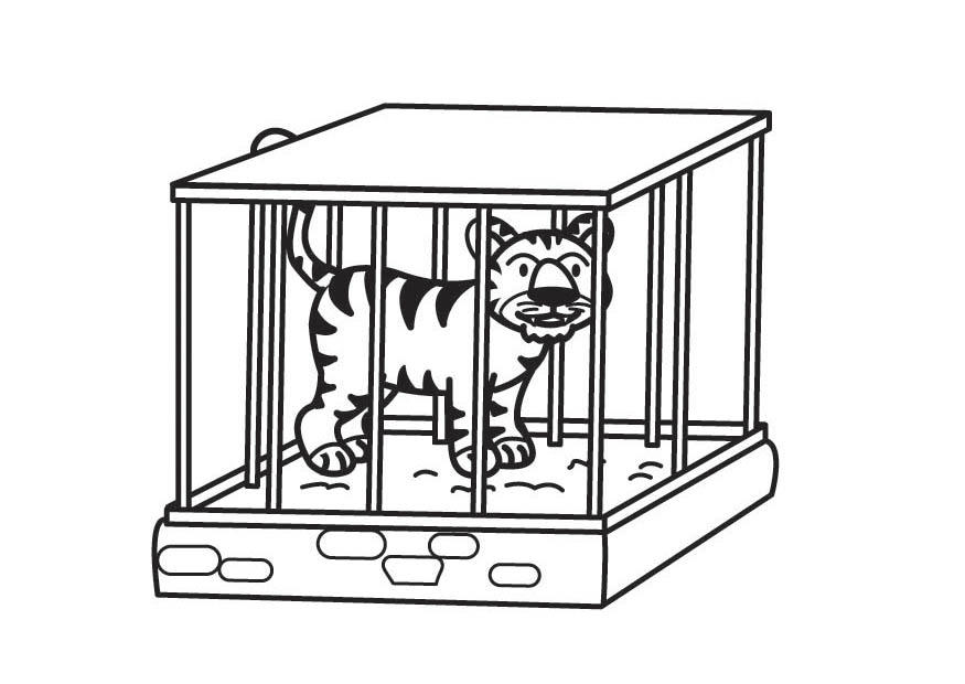 tigre en cage Coloriage tigre en cage
