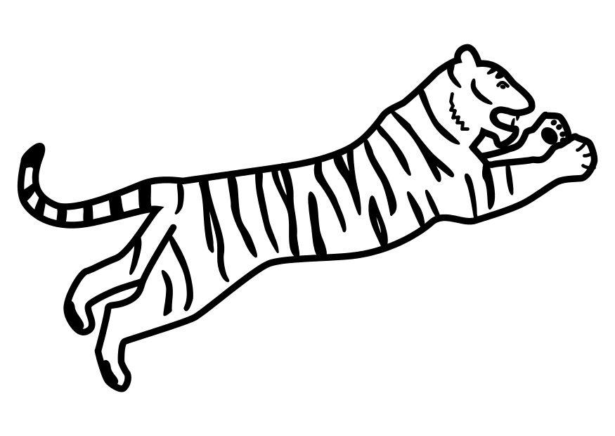 tigre sautant Coloriage tigre sautant