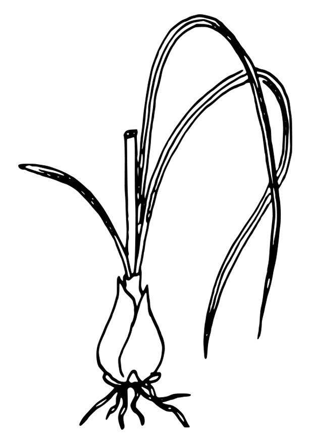A‰toile de bethlA©em Coloriage A‰toile de bethlA©em