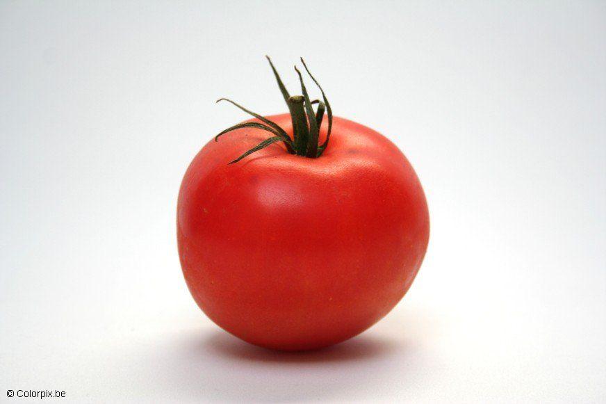 tomate Photo tomate