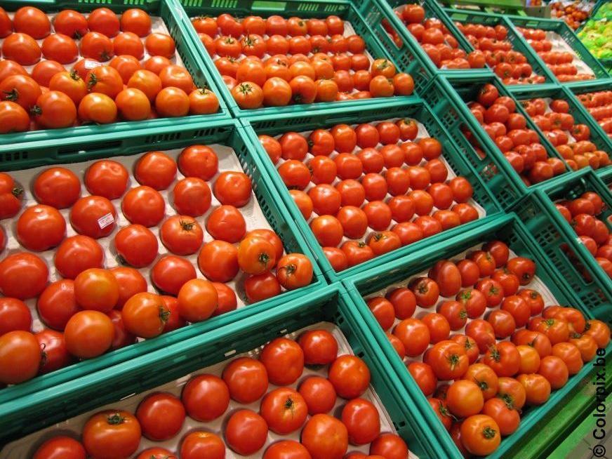 tomates Photo tomates
